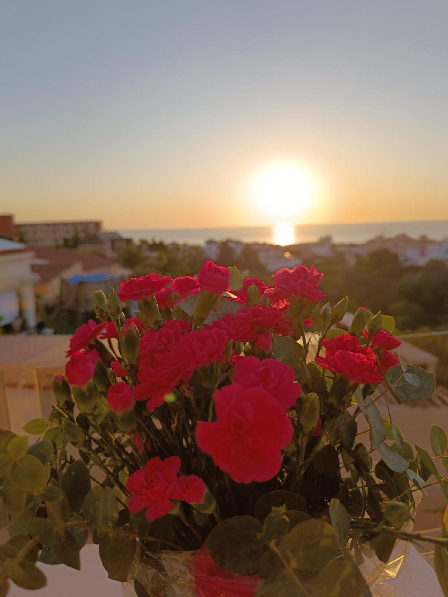 Rising Sun Bungalow Torrevieja Exterior foto